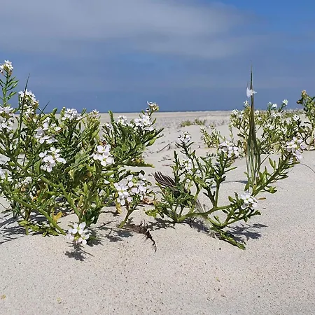 度假居 6 Person In