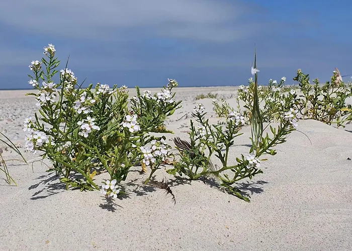 Semesterbostad 6 Person In