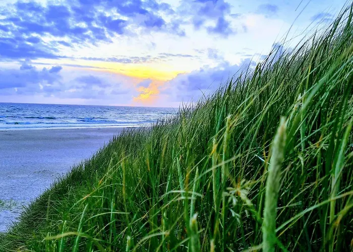 Semesterbostad 6 Person In Nørre Nebel